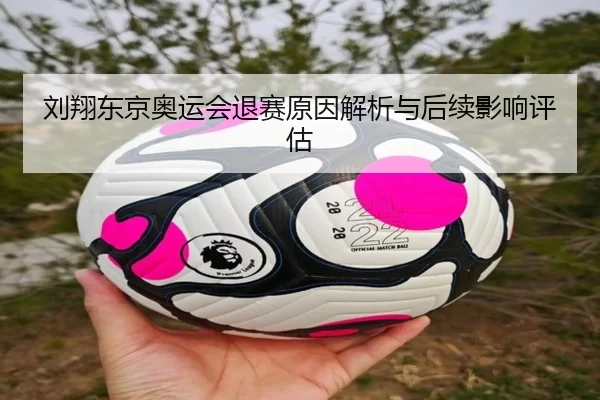 刘翔东京奥运会退赛原因解析与后续影响评估